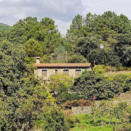 Casa Rural En Candeleda Con Piscina Y Un Maravilloso Jardin Extérieur photo