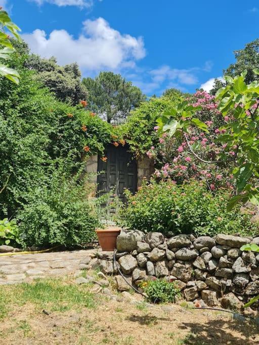 Casa Rural En Candeleda Con Piscina Y Un Maravilloso Jardin Extérieur photo