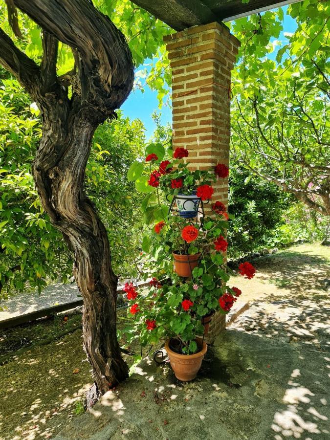 Casa Rural En Candeleda Con Piscina Y Un Maravilloso Jardin Extérieur photo