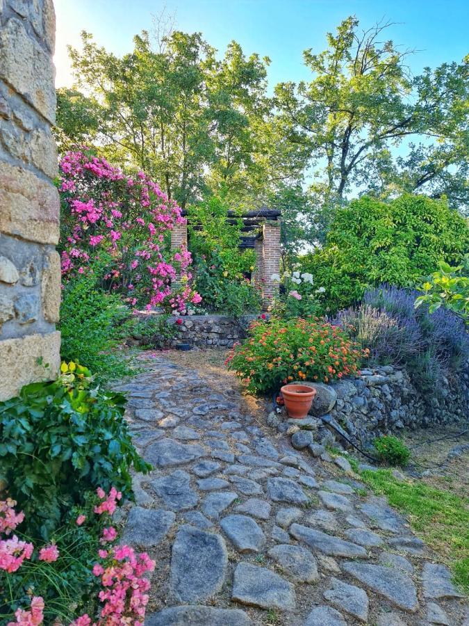 Casa Rural En Candeleda Con Piscina Y Un Maravilloso Jardin Extérieur photo