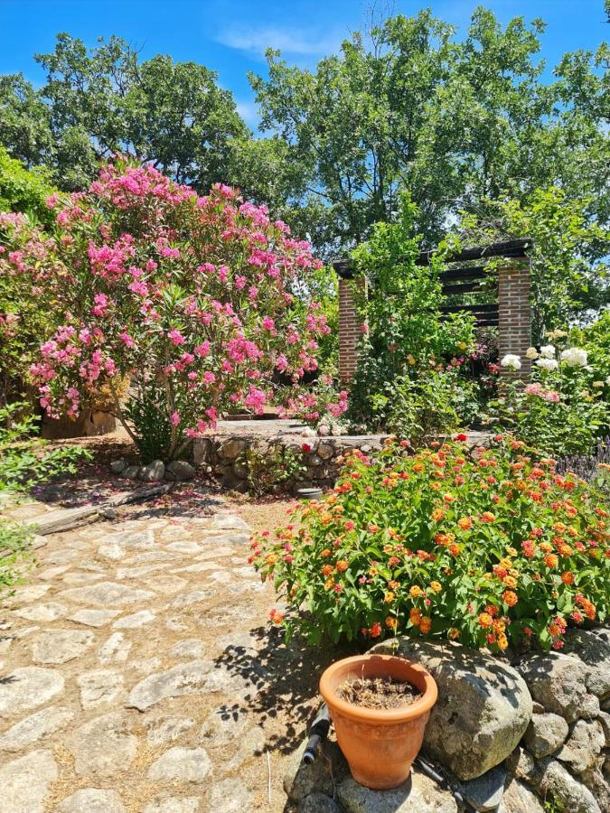 Casa Rural En Candeleda Con Piscina Y Un Maravilloso Jardin Extérieur photo