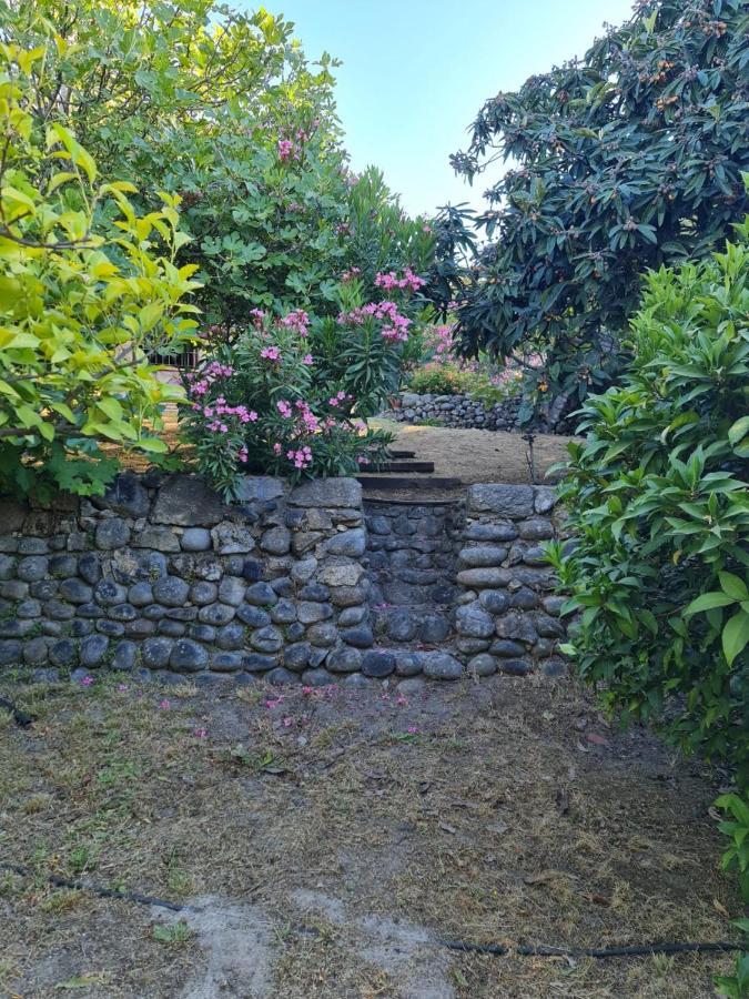 Casa Rural En Candeleda Con Piscina Y Un Maravilloso Jardin Extérieur photo