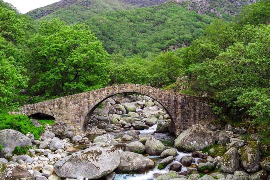 Casa Rural En Candeleda Con Piscina Y Un Maravilloso Jardin Extérieur photo