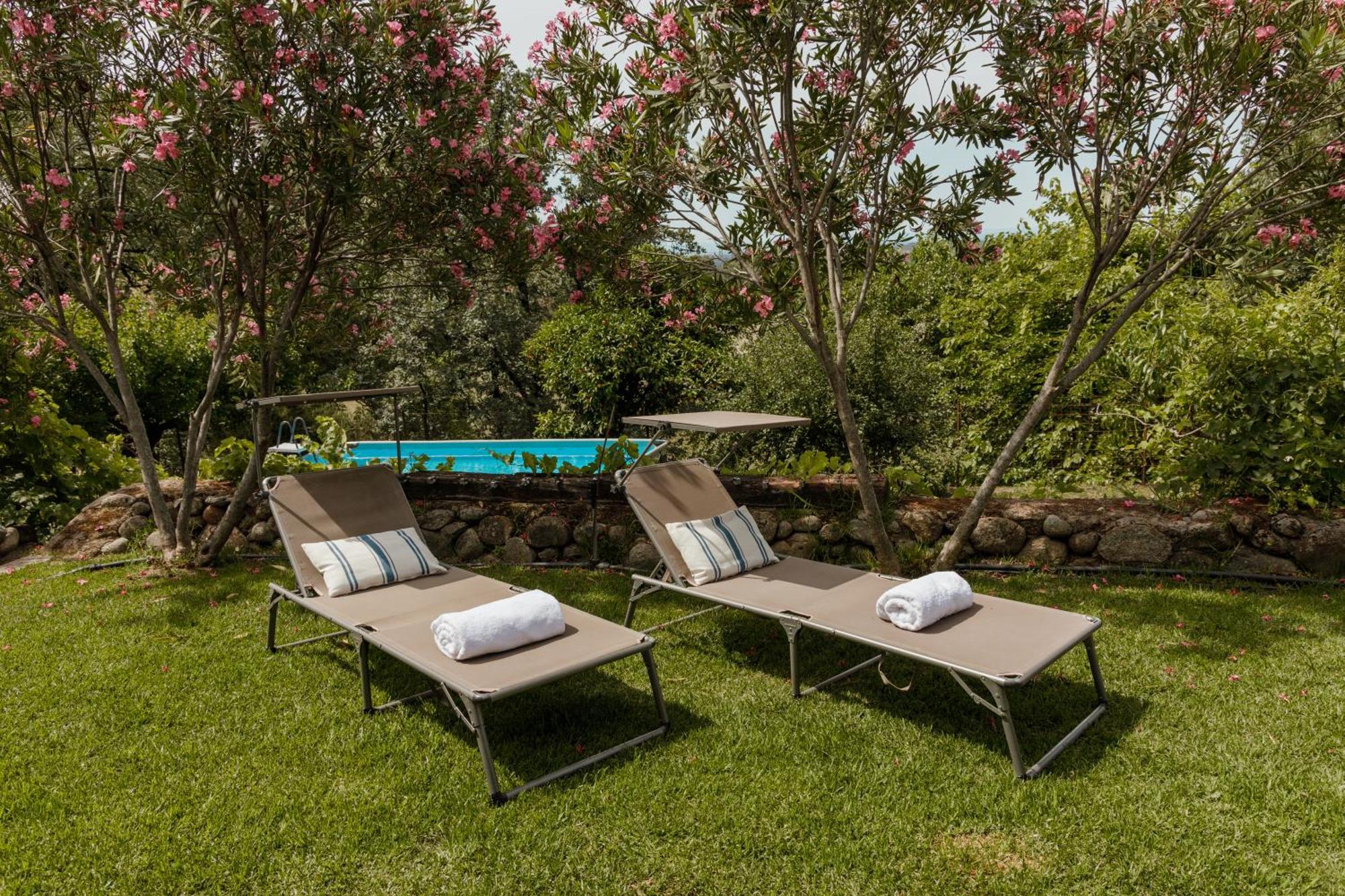 Casa Rural En Candeleda Con Piscina Y Un Maravilloso Jardin Extérieur photo