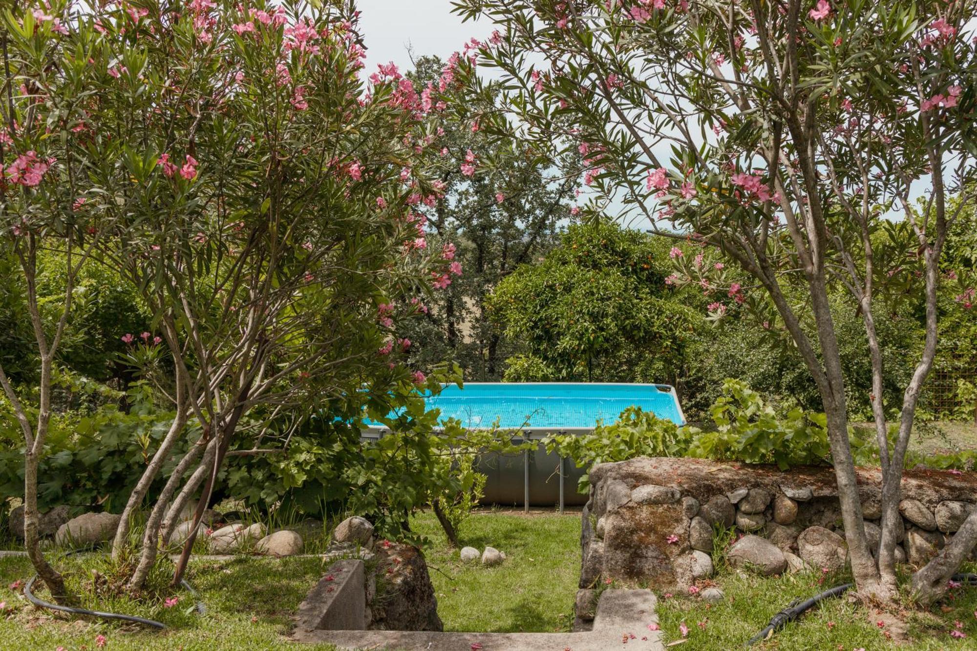 Casa Rural En Candeleda Con Piscina Y Un Maravilloso Jardin Extérieur photo