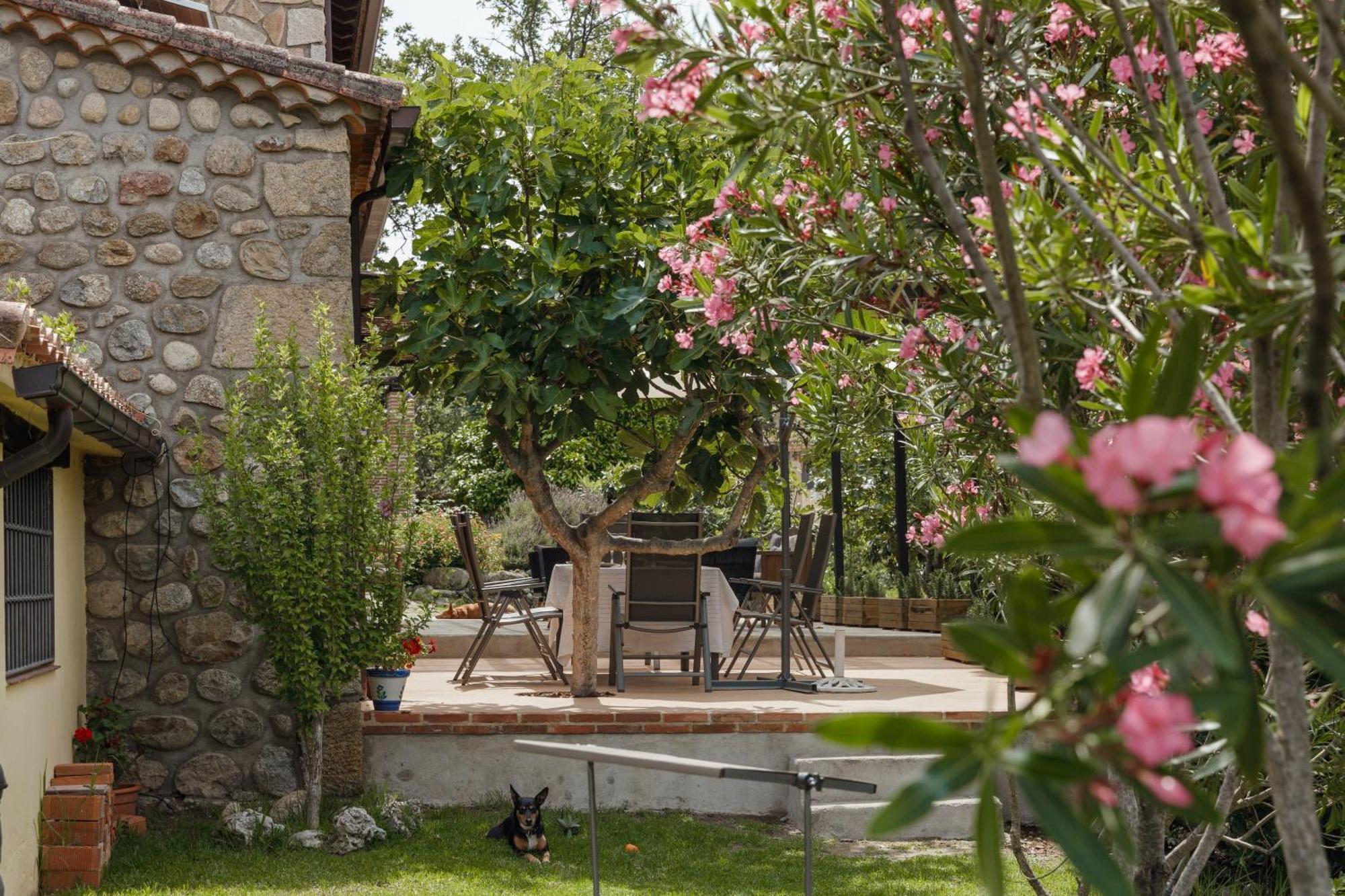Casa Rural En Candeleda Con Piscina Y Un Maravilloso Jardin Extérieur photo